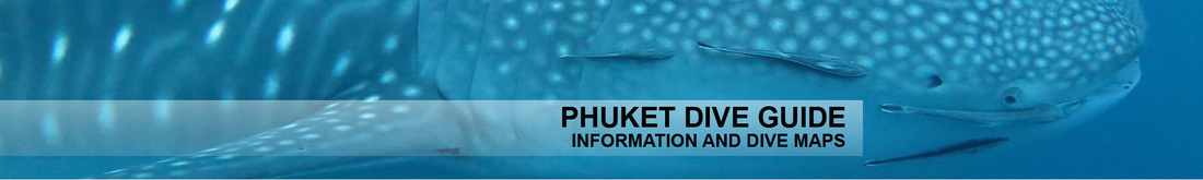 Phuket Dive Guide