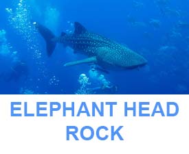 Similan islands dive sites elephant head rock