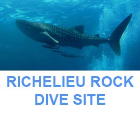 Similan Dive guide Richelieu rock dive map