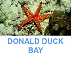 Similan islands dive sites Donald duck bay