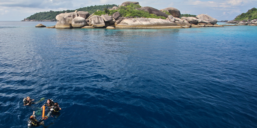 Similan islands dive guide 