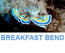 Similan islands dive sites Breakfast bend