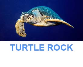 Similan islands dive sites turtle rock